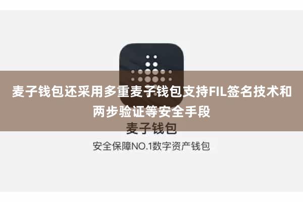 麦子钱包还采用多重麦子钱包支持FIL签名技术和两步验证等安全手段