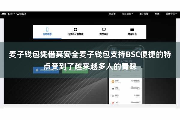 麦子钱包凭借其安全麦子钱包支持BSC便捷的特点受到了越来越多人的青睐