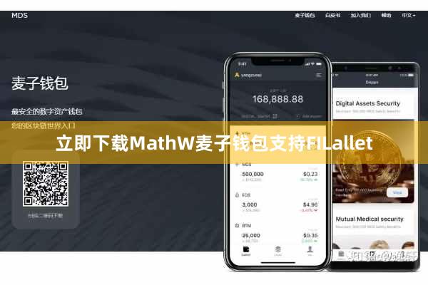立即下载MathW麦子钱包支持FILallet