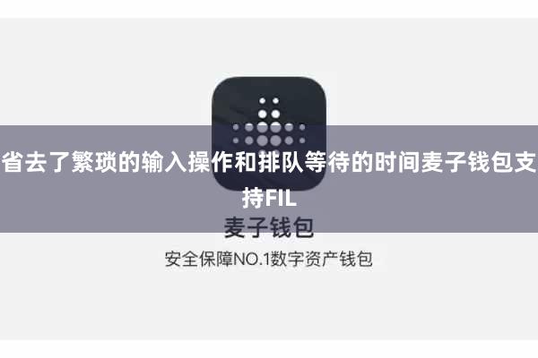 省去了繁琐的输入操作和排队等待的时间麦子钱包支持FIL