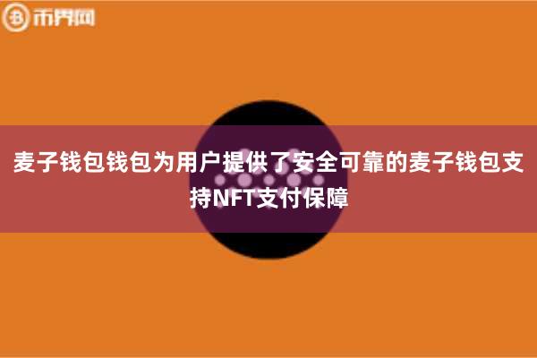 麦子钱包钱包为用户提供了安全可靠的麦子钱包支持NFT支付保障