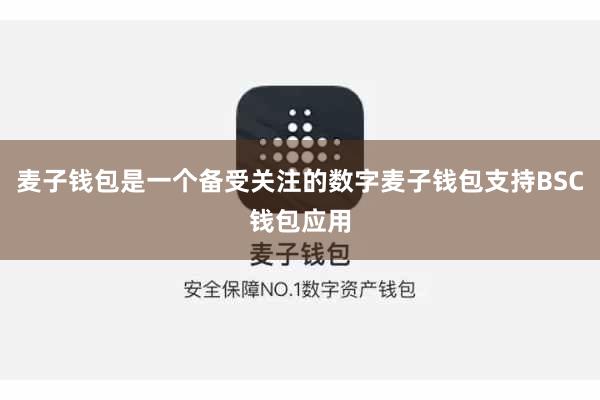 麦子钱包是一个备受关注的数字麦子钱包支持BSC钱包应用