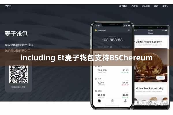 including Et麦子钱包支持BSChereum