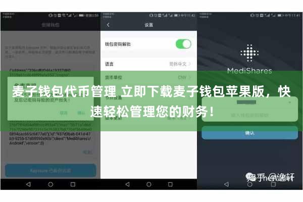 麦子钱包代币管理 立即下载麦子钱包苹果版，快速轻松管理您的财务！