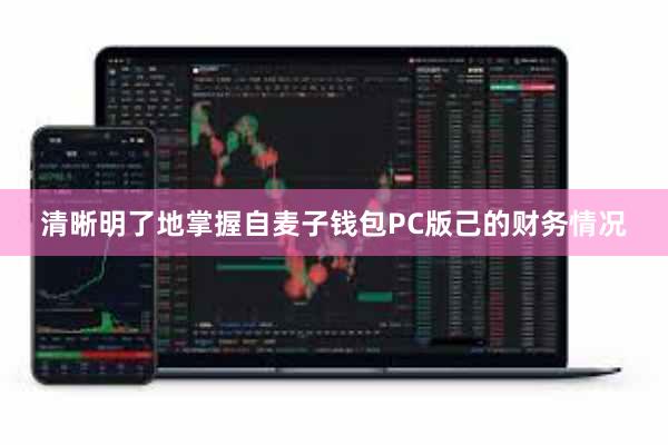 清晰明了地掌握自麦子钱包PC版己的财务情况