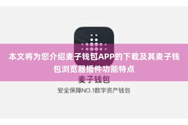 本文将为您介绍麦子钱包APP的下载及其麦子钱包浏览器插件功能特点