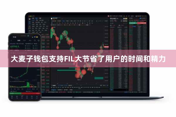 大麦子钱包支持FIL大节省了用户的时间和精力
