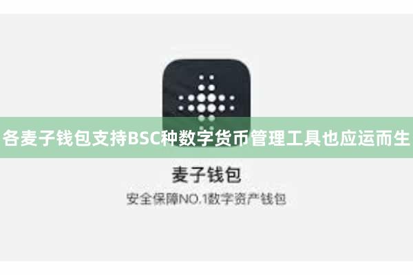 各麦子钱包支持BSC种数字货币管理工具也应运而生