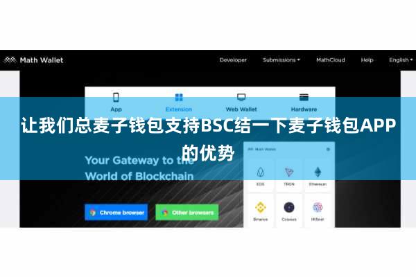 让我们总麦子钱包支持BSC结一下麦子钱包APP的优势