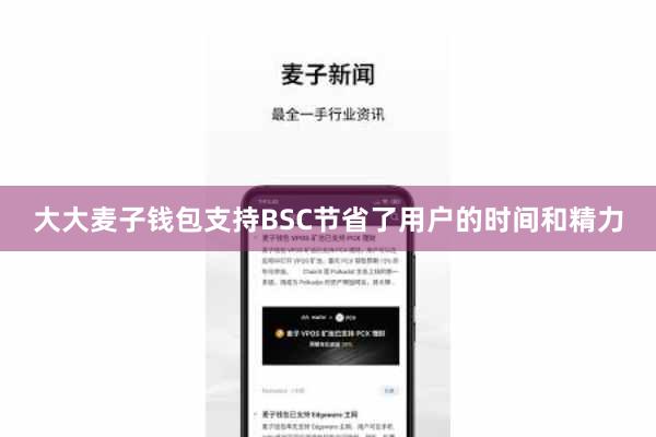 大大麦子钱包支持BSC节省了用户的时间和精力