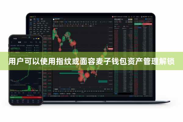 用户可以使用指纹或面容麦子钱包资产管理解锁