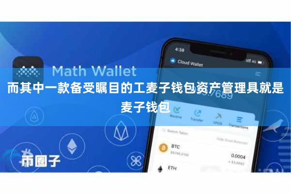 而其中一款备受瞩目的工麦子钱包资产管理具就是麦子钱包