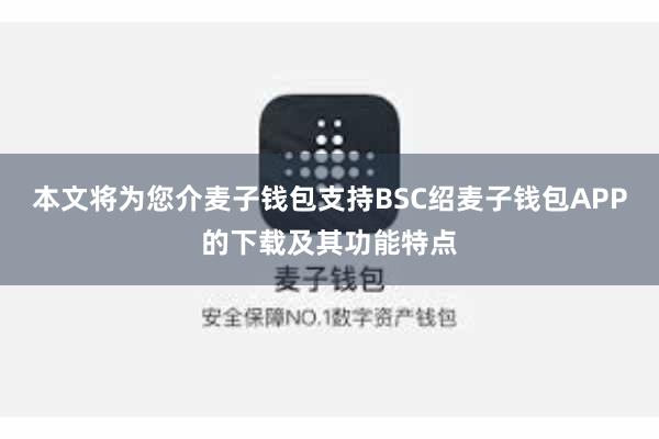 本文将为您介麦子钱包支持BSC绍麦子钱包APP的下载及其功能特点