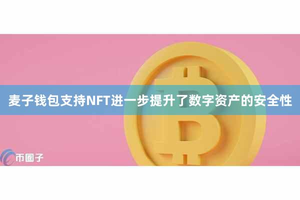 麦子钱包支持NFT进一步提升了数字资产的安全性