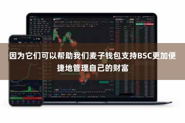 因为它们可以帮助我们麦子钱包支持BSC更加便捷地管理自己的财富