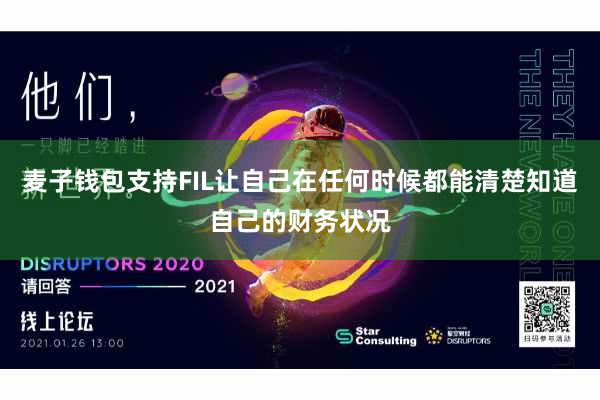 麦子钱包支持FIL让自己在任何时候都能清楚知道自己的财务状况