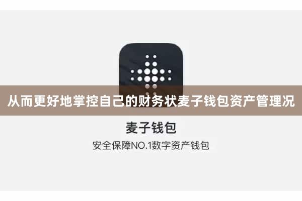 从而更好地掌控自己的财务状麦子钱包资产管理况