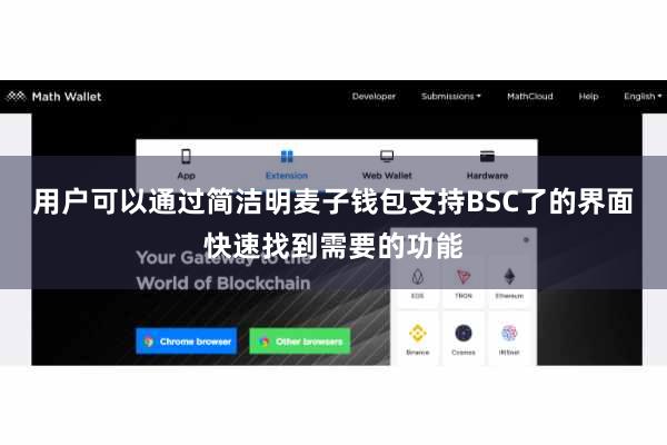 用户可以通过简洁明麦子钱包支持BSC了的界面快速找到需要的功能