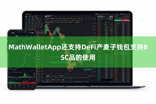 MathWalletApp还支持DeFi产麦子钱包支持BSC品的使用