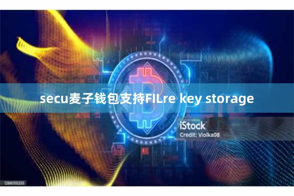 secu麦子钱包支持FILre key storage