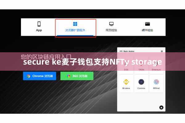 secure ke麦子钱包支持NFTy storage