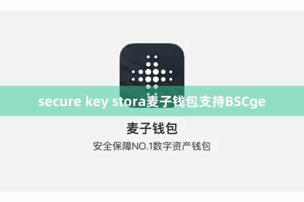 secure key stora麦子钱包支持BSCge