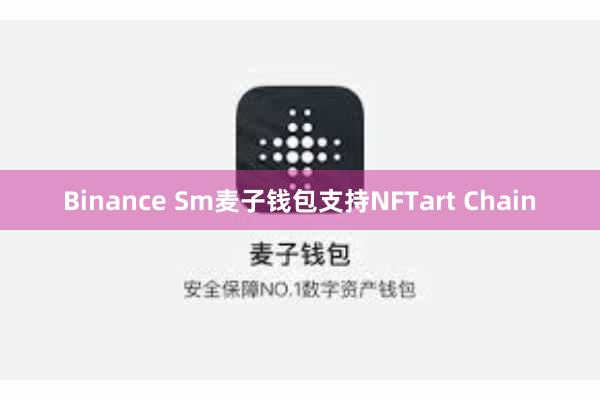 Binance Sm麦子钱包支持NFTart Chain