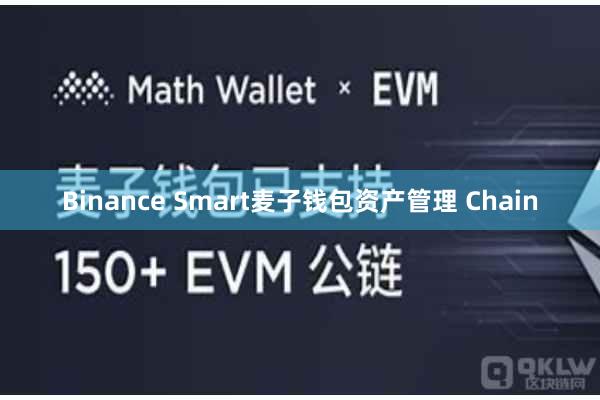 Binance Smart麦子钱包资产管理 Chain