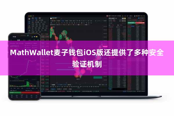 MathWallet麦子钱包iOS版还提供了多种安全验证机制