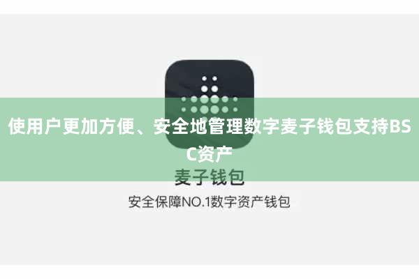 使用户更加方便、安全地管理数字麦子钱包支持BSC资产