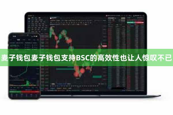 麦子钱包麦子钱包支持BSC的高效性也让人惊叹不已