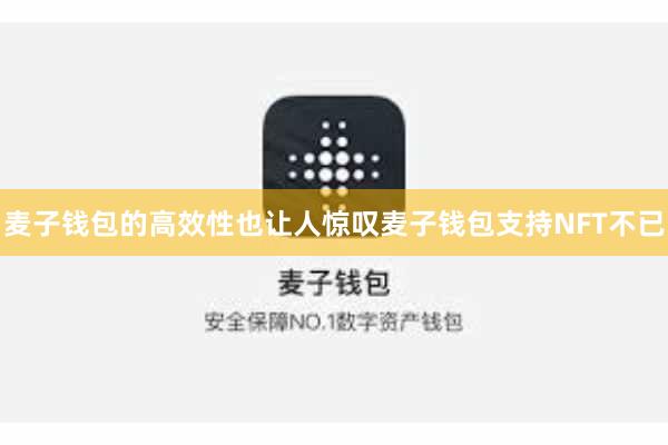 麦子钱包的高效性也让人惊叹麦子钱包支持NFT不已