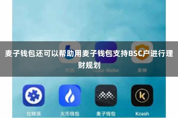 麦子钱包还可以帮助用麦子钱包支持BSC户进行理财规划