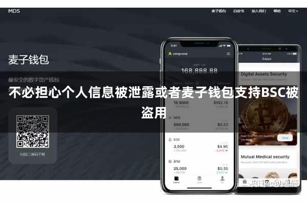 不必担心个人信息被泄露或者麦子钱包支持BSC被盗用