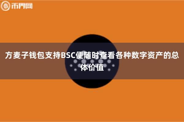 方麦子钱包支持BSC便随时查看各种数字资产的总体价值