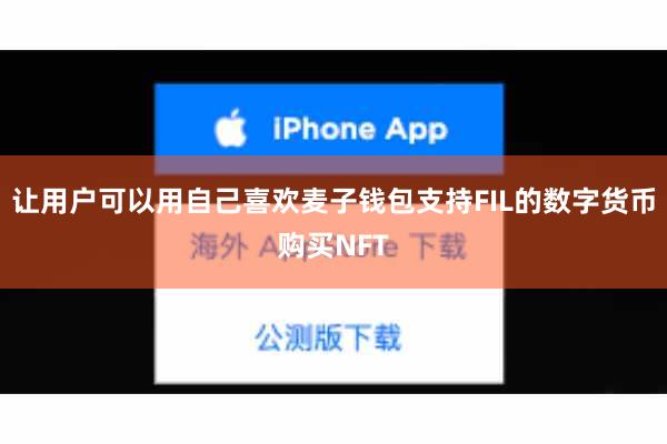 让用户可以用自己喜欢麦子钱包支持FIL的数字货币购买NFT