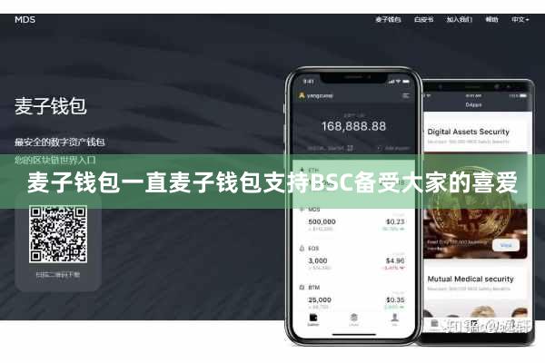 麦子钱包一直麦子钱包支持BSC备受大家的喜爱