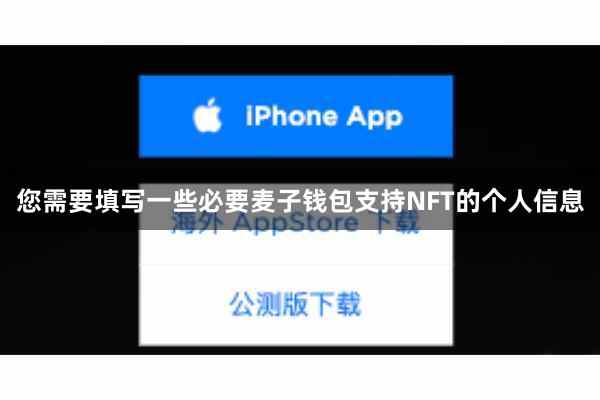 您需要填写一些必要麦子钱包支持NFT的个人信息