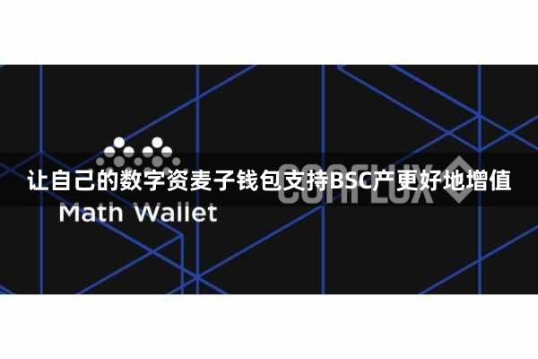 让自己的数字资麦子钱包支持BSC产更好地增值