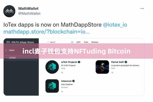 incl麦子钱包支持NFTuding Bitcoin