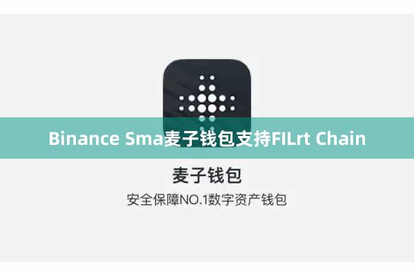 Binance Sma麦子钱包支持FILrt Chain