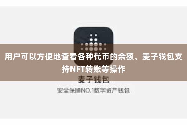 用户可以方便地查看各种代币的余额、麦子钱包支持NFT转账等操作