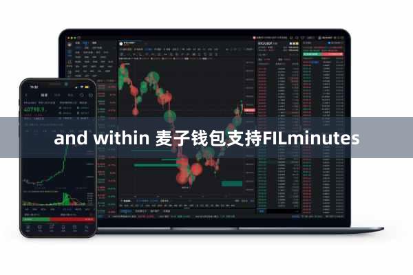and within 麦子钱包支持FILminutes