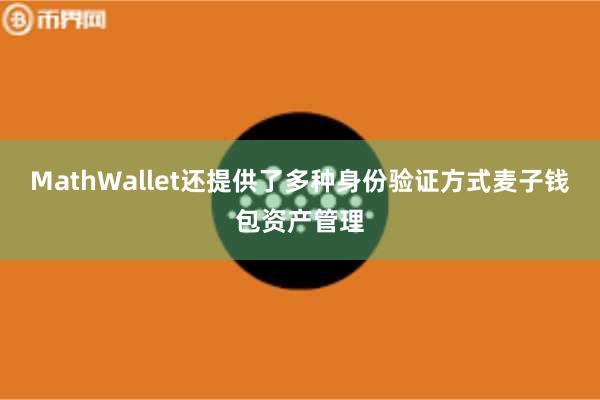 MathWallet还提供了多种身份验证方式麦子钱包资产管理