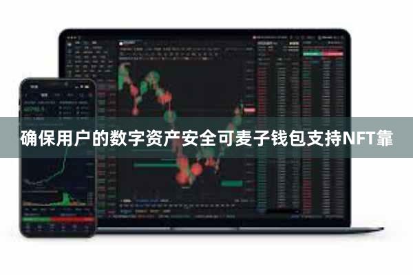 确保用户的数字资产安全可麦子钱包支持NFT靠