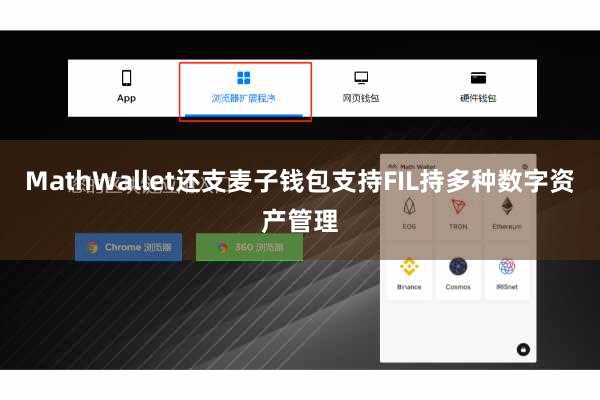 MathWallet还支麦子钱包支持FIL持多种数字资产管理