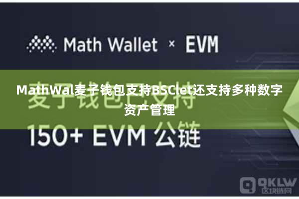 MathWal麦子钱包支持BSClet还支持多种数字资产管理